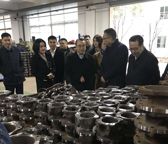 2017年麗水市徐市長一行蒞臨康瑞閥門參觀指導